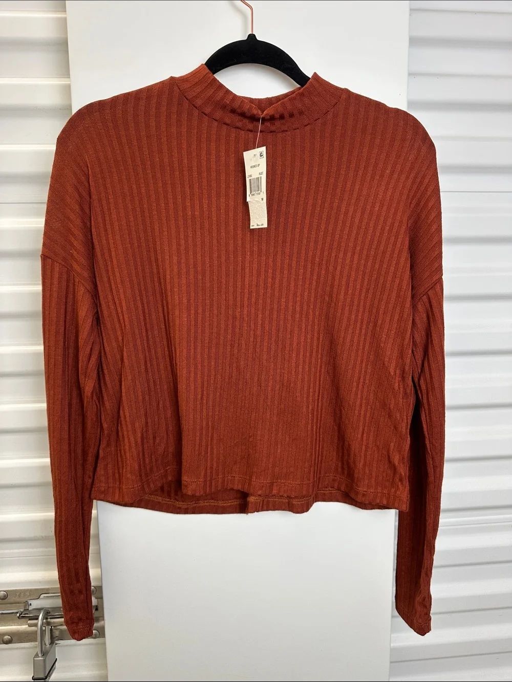 HOOKED❤️ UP Ribbed Mock Neck Long Sleeve Top - Rust